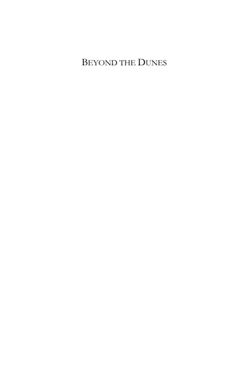 Cover image for book Beyond the Dunes