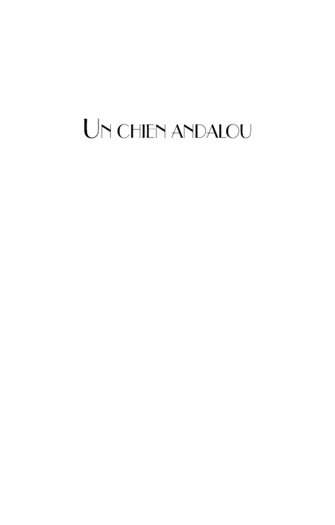 Cover image for book Un Chien Andalou