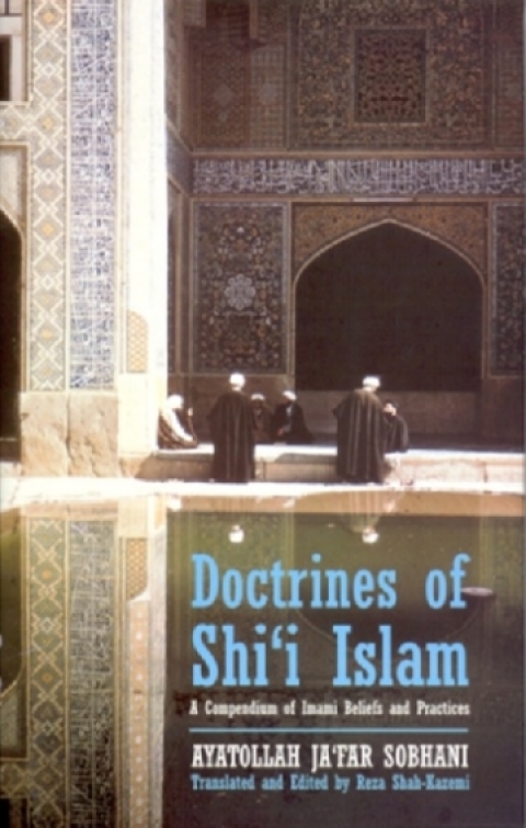 Cover image for book Doctrines of Shi'i Islam