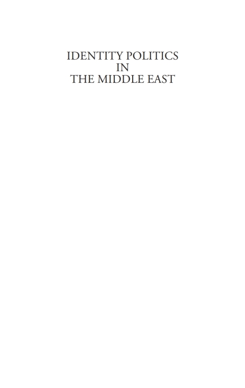 Cover image for book Identity Politics in the Middle East