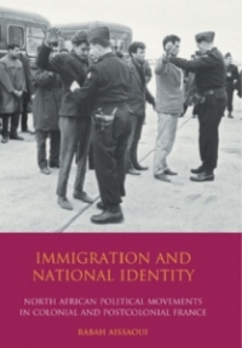 Cover image for book Immigration and National Identity