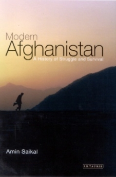 Cover image for book Modern Afghanistan
