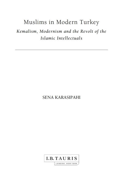 Cover image for book Muslims in Modern Turkey