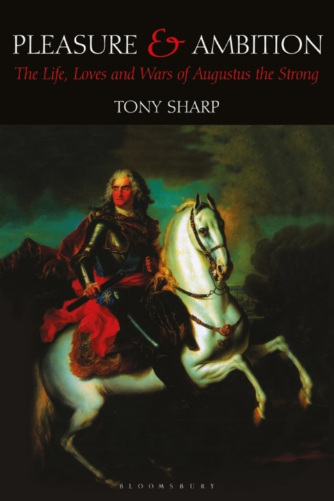 Cover image for book Pleasure and Ambition