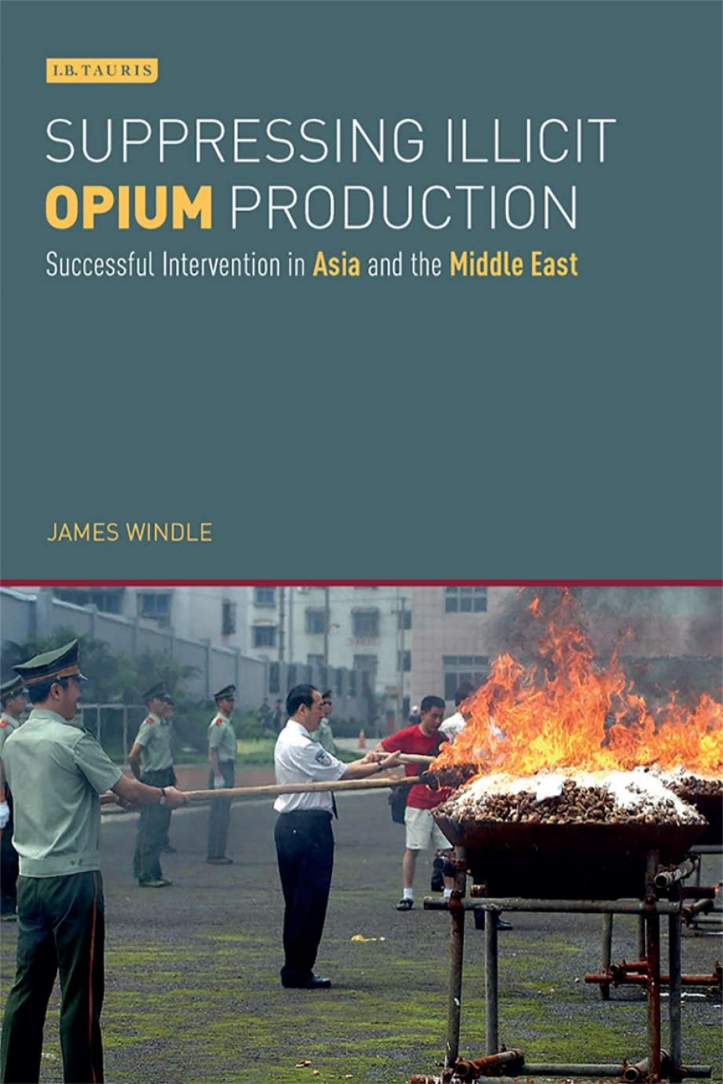 Suppressing Illicit Opium Production (eBook) - James Windle