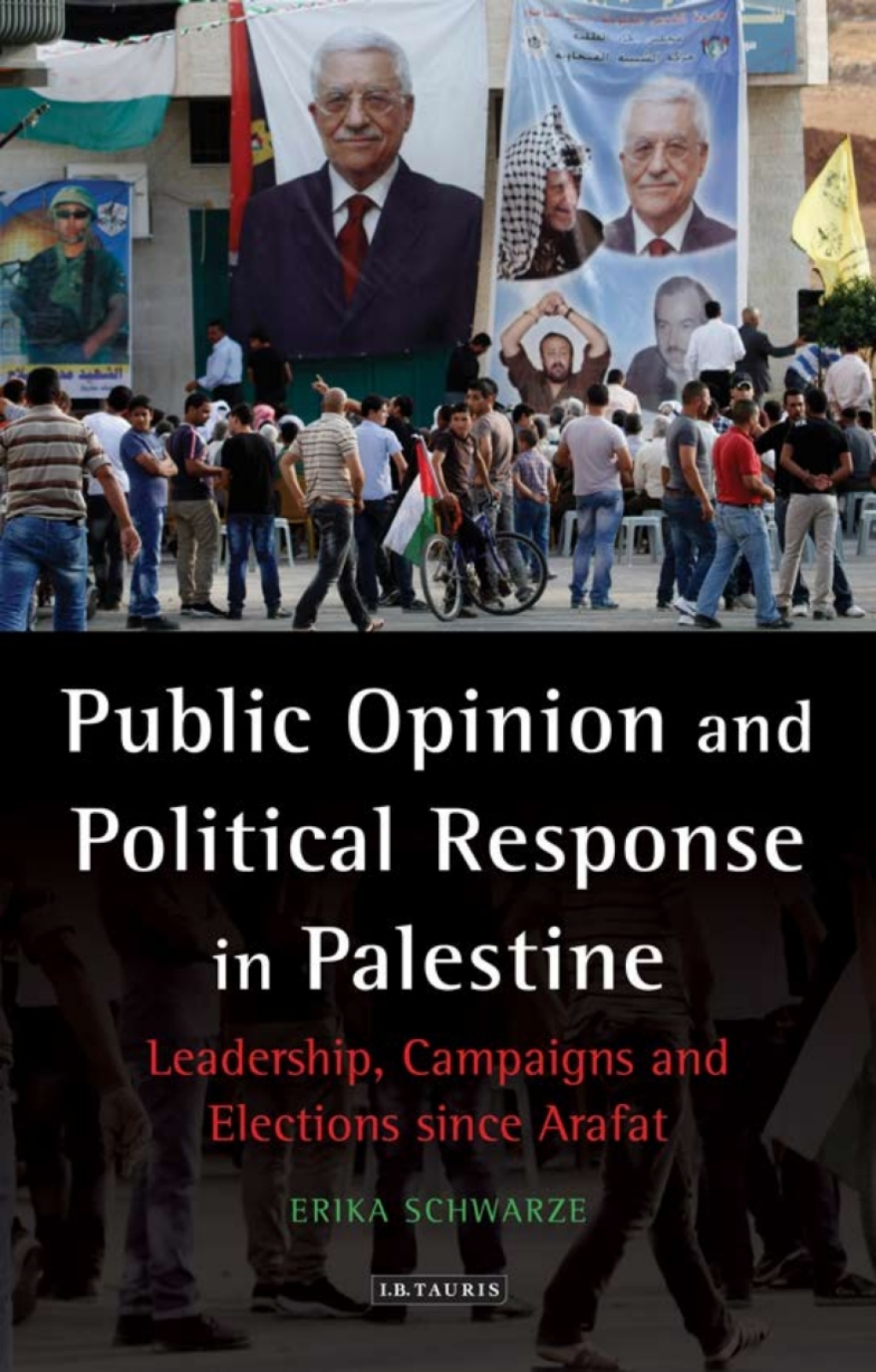 Public Opinion and Political Response in Palestine (eBook) - Erika Schwarze