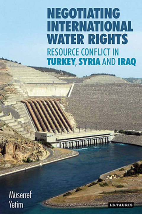 Cover image for book Negotiating International Water Rights