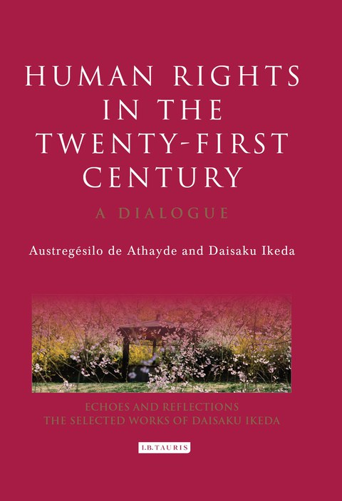 Cover image for book Human Rights in the Twenty-first Century