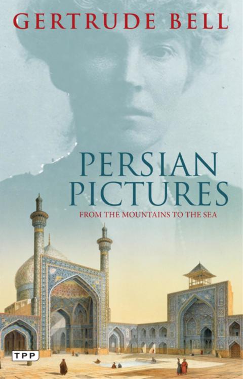 Cover image for book Persian Pictures