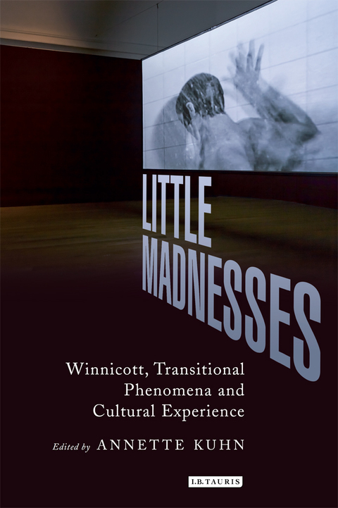Cover image for book Little Madnesses