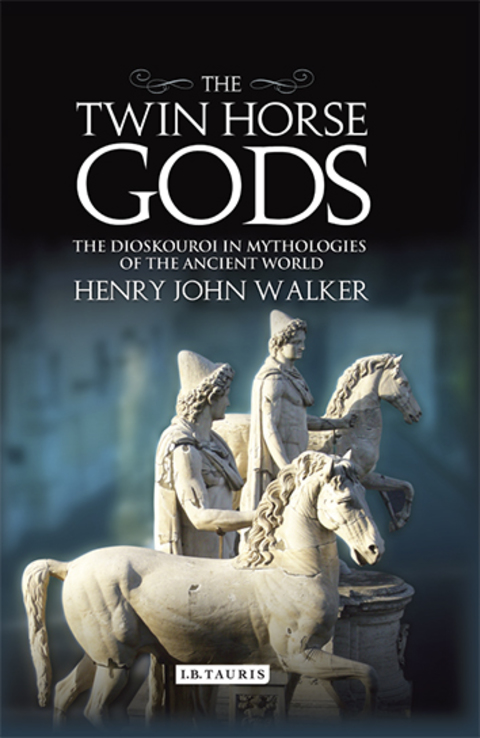 Cover image for book The Twin Horse Gods