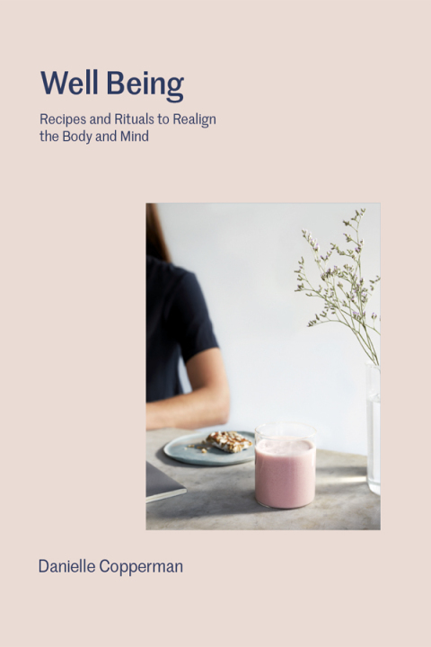 Cover image for book Well Being