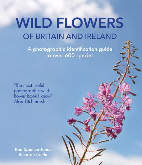 Cover image for book Wild Flowers of Britain and Ireland