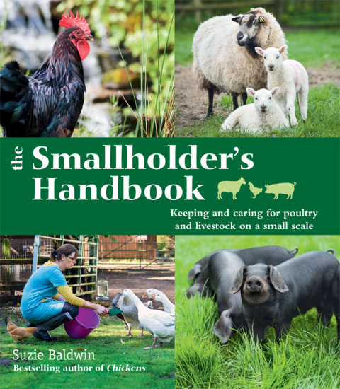 Cover image for book The Smallholder's Handbook: Keeping & caring for poultry & livestock on a small scale