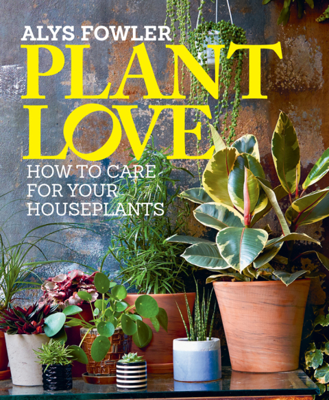 Cover image for book Plant Love