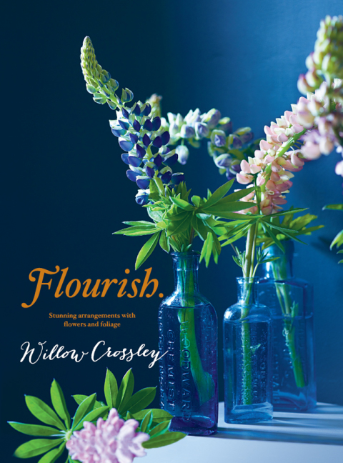 Cover image for book Flourish