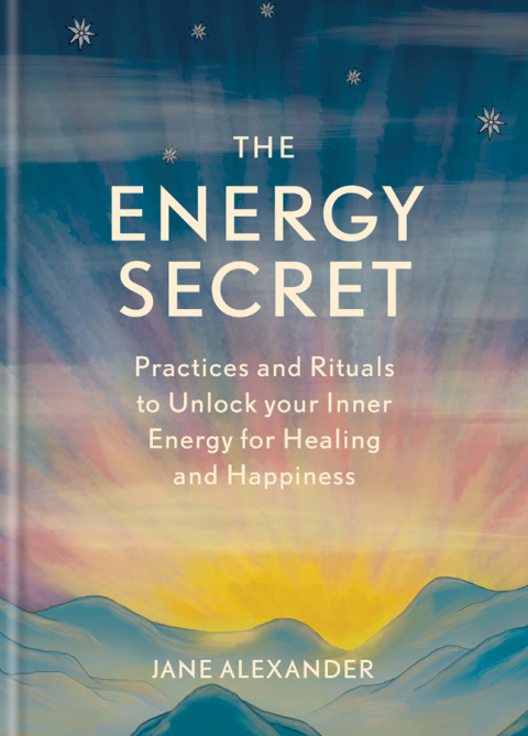 Cover image for book The Energy Secret