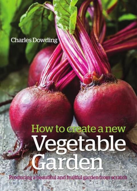 How to Create a New Vegetable Garden 