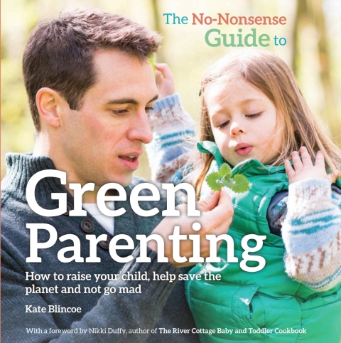 Cover image for book The No-Nonsense Guide to Green Parenting