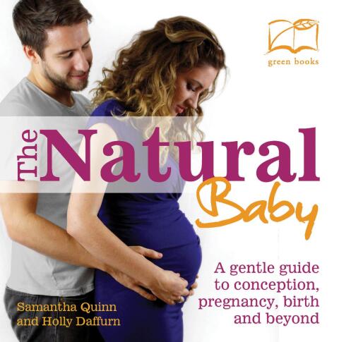 Cover image for book The Natural Baby