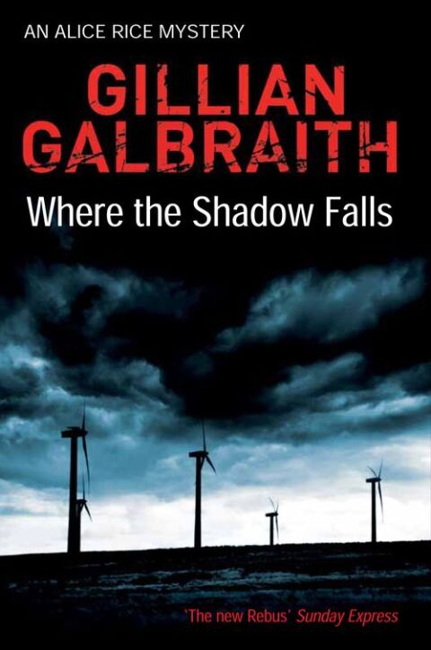 Cover image for book Where the Shadow Falls