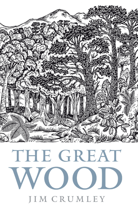 Cover image for book The Great Wood