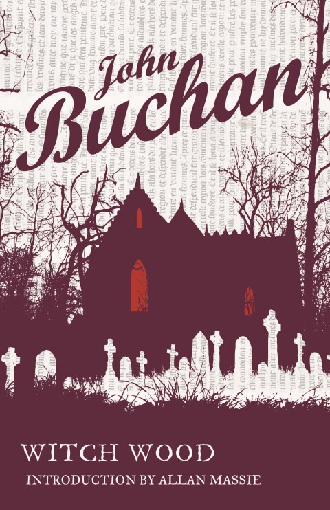 Cover image for book Witch Wood