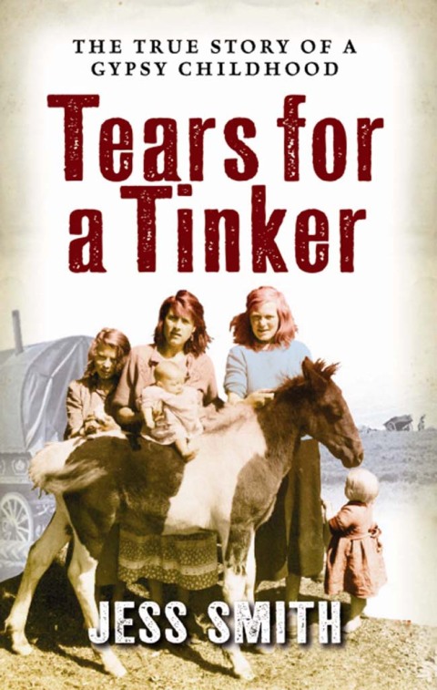 Cover image for book Tears for a Tinker