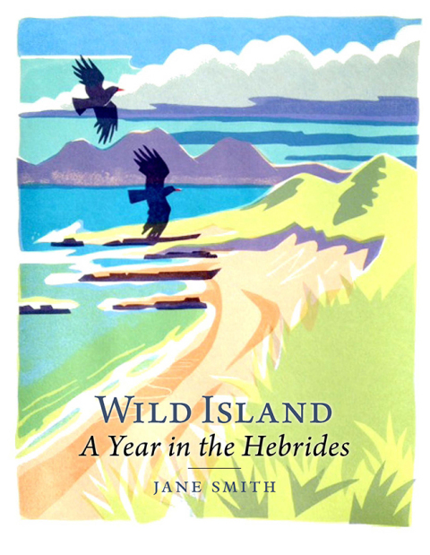 Cover image for book Wild Island