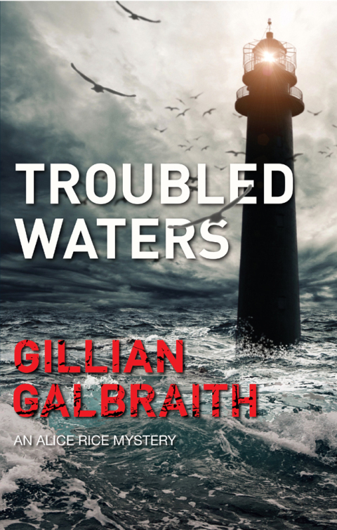 Cover image for book Troubled Waters