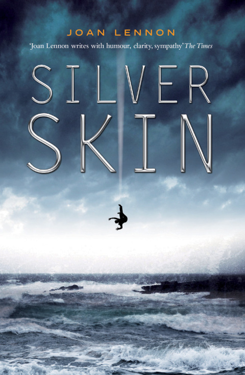 Cover image for book Silver Skin