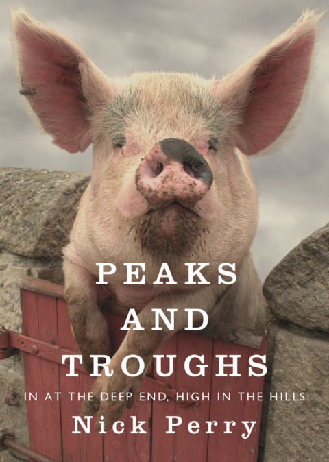Cover image for book Peaks and Troughs