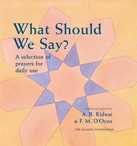 Cover image for book What Should We Say?
