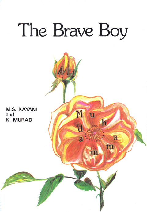 Cover image for book The Brave Boy