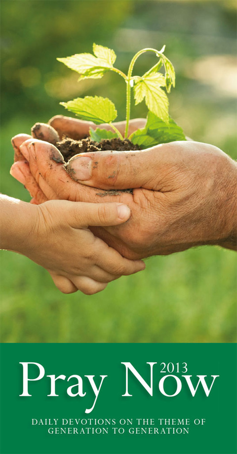 Cover image for book Pray Now 2013