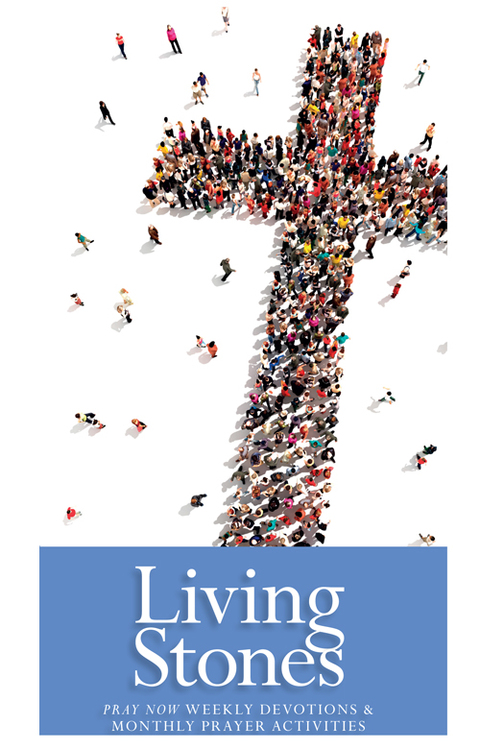 Cover image for book Living Stones