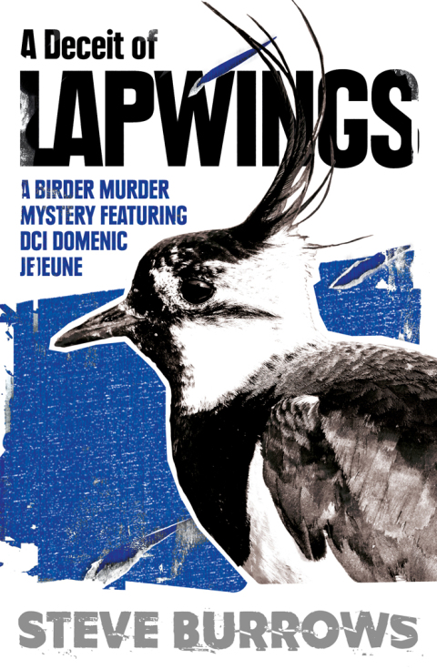 Cover image for book A Deceit of Lapwings