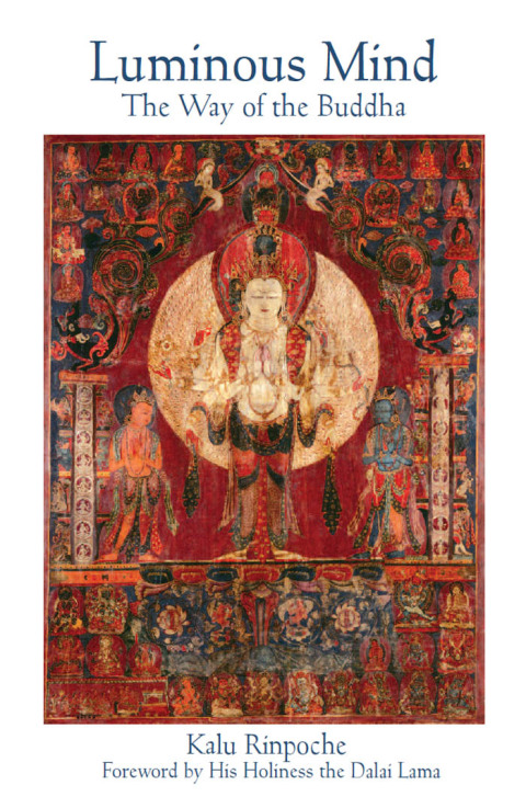 Cover image for book Luminous Mind