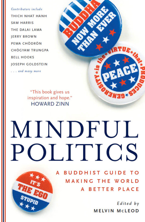 Cover image for book Mindful Politics