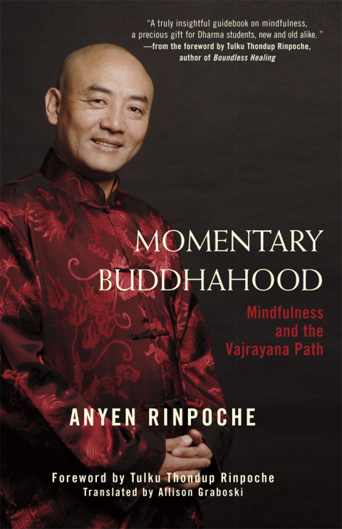 Cover image for book Momentary Buddhahood