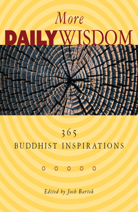 Cover image for book More Daily Wisdom