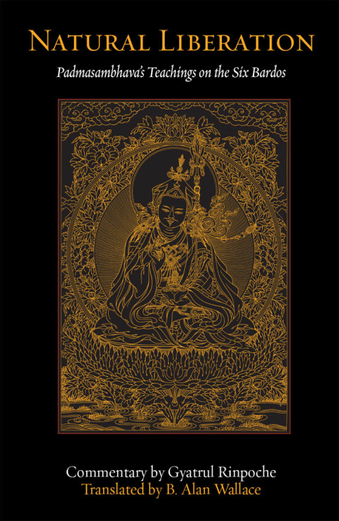 Cover image for book Natural Liberation