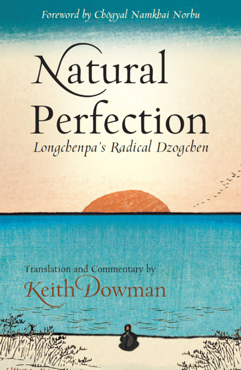 Cover image for book Natural Perfection