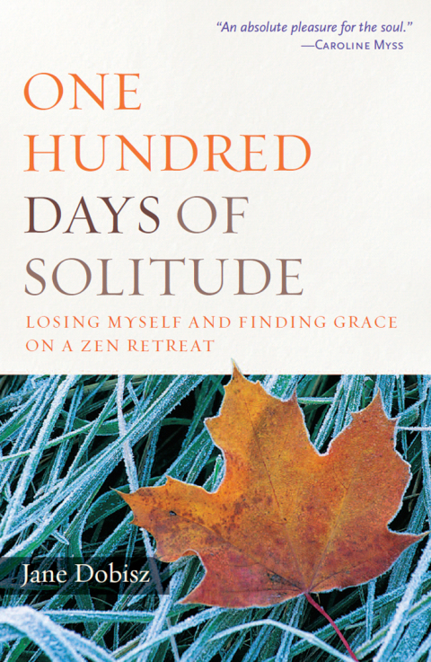 Cover image for book One Hundred Days of Solitude