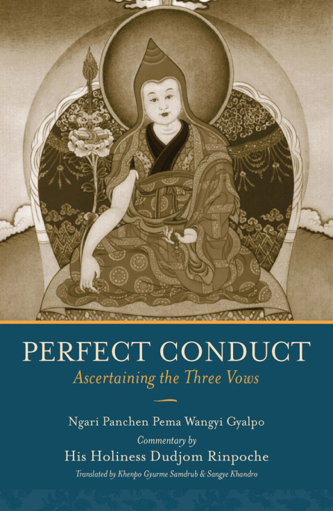 Cover image for book Perfect Conduct