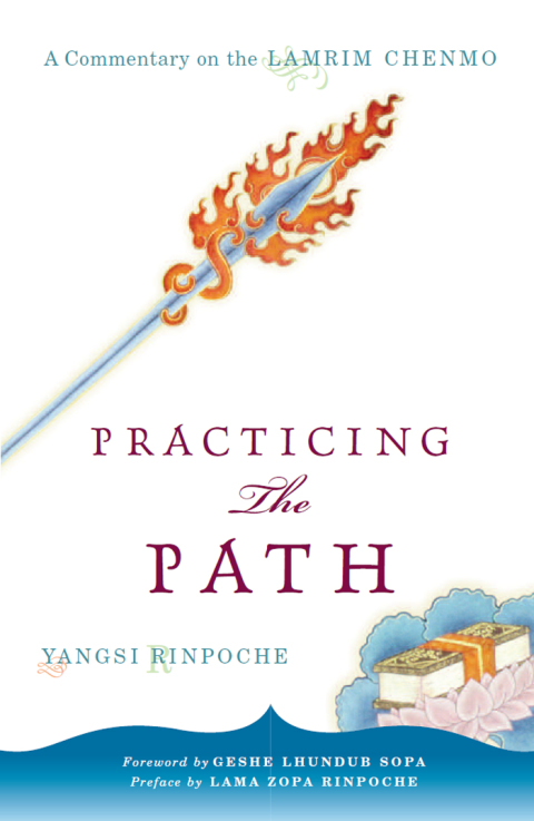 Cover image for book Practicing the Path