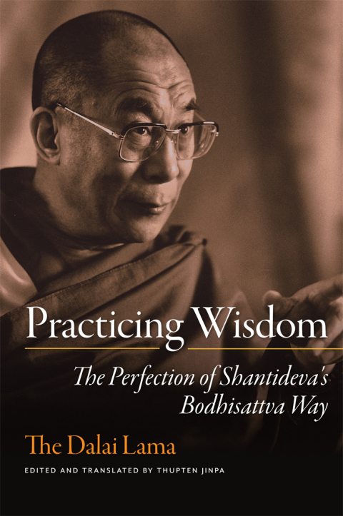 Cover image for book Practicing Wisdom
