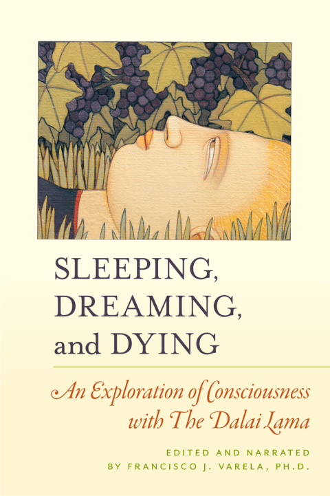 Cover image for book Sleeping, Dreaming, and Dying