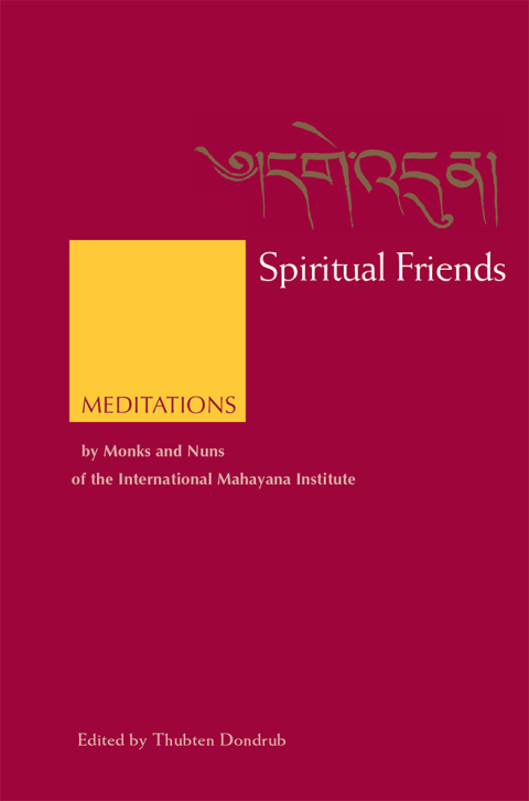 Cover image for book Spiritual Friends