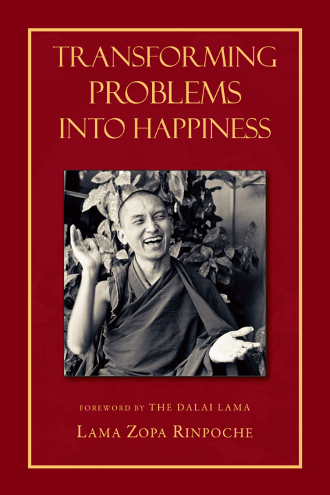 Cover image for book Transforming Problems into Happiness
